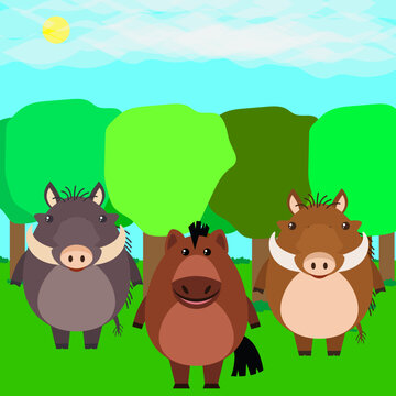 the wild pigs in the forest