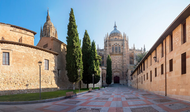 Photo detail of part of the Salamanca catedral in Spain