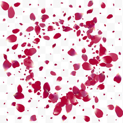 Delicate Floral Spring Vector Transparent