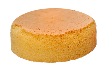 Fresh baked cake biscuit on a metal rack, side view, isolated on a white background