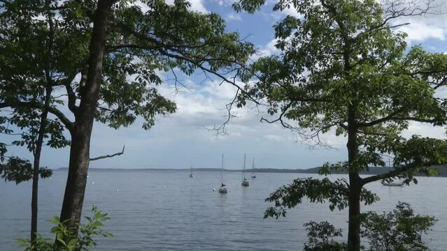 Sailboats anchored off the coast on a summer day