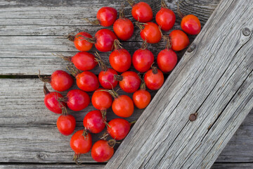 Fototapeta na wymiar ripe red rosehip berries on a wooden background