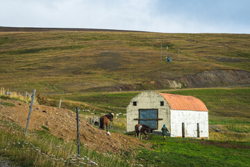 Landscape at the ring Road (Iceland)