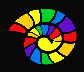 Obraz premium Ammonite