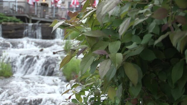 Waterfall in the park on a summer day
