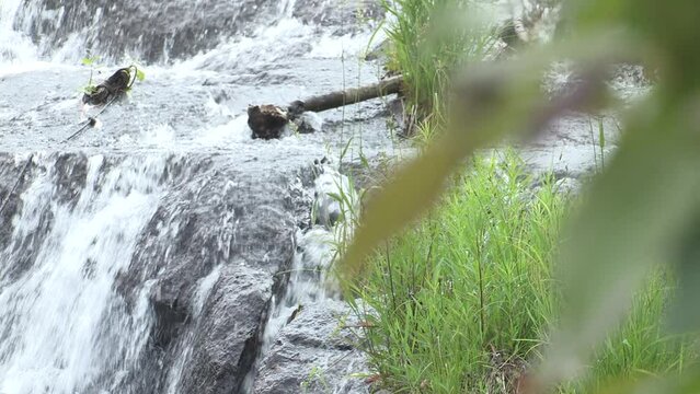 Water flows over rocks on a summer afternoon