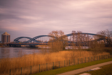 Brücken in Hamburg über der Elbe