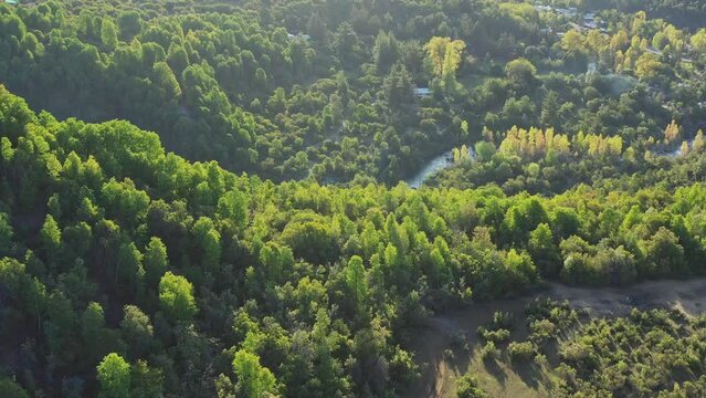 Aerial drone view Mountain river and mountain green forest. Landscapes of central regions of Chile