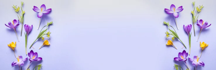 Fotobehang Krokus Panorama spring flowers pattern. Frame of violet and yellow crocuses. Top view, flat lay, banner  © Yevhenii Khil