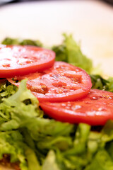 Tomato and lettuce in wrapped wrap. Foreground. Blurred background