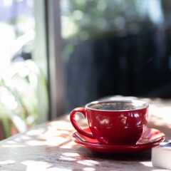 Capuccino served in red cup next to window with plants.