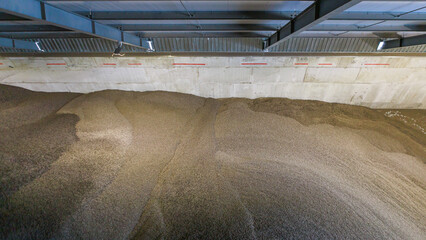 Big storehouse with beet pulp.