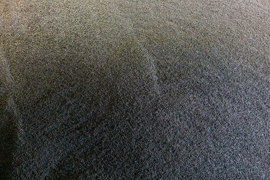 Big storehouse with beet pulp.