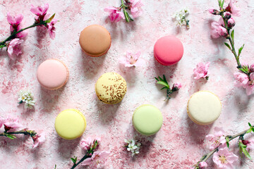 Colorful macaroons with flowers on the pink background. Top view. Delicious dessert.