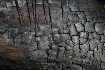Burned wood background.