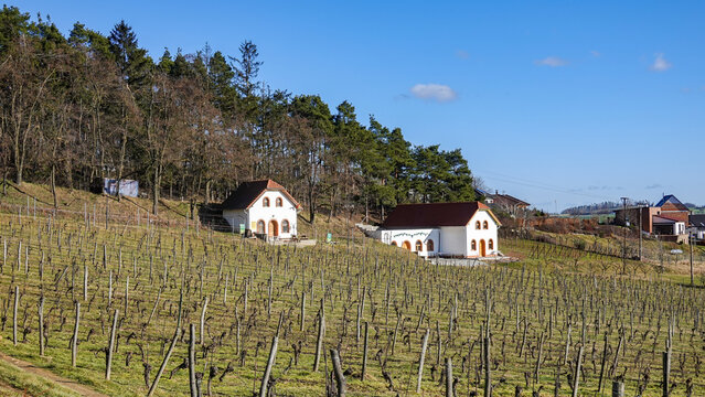 Winery Sádek
Winter landscape in the Trebic region