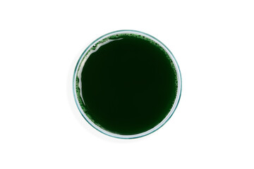 Spirulina diluted in water. Spirulina solution in a petri dish. Spirulina, superfood, bioadditive. Green. Eco
