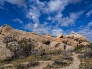 Huge, smooth boulder pile in Joshua Tree National Park's desert area on a bright blue sky day.