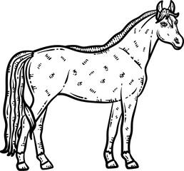Horse Animal Coloring Page for Adult