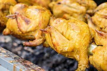 Grilled chicken on nature background.