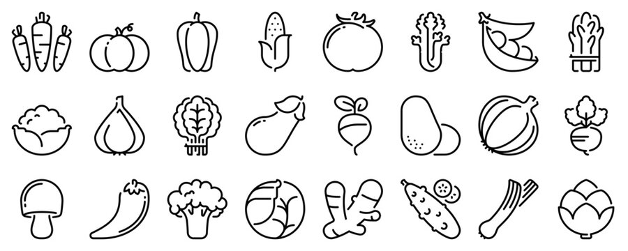 Line icons about vegetables on transparent background with editable stroke.