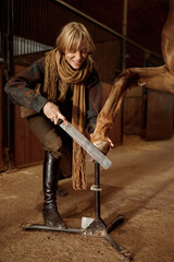 Female horse owner trimming and shaping young stallion hoof