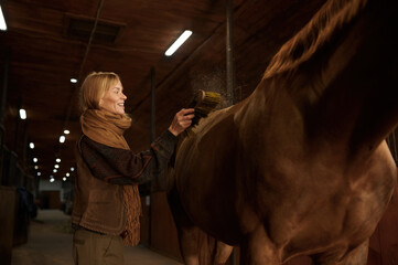 Smiling woman cleaning horseback of her brown purebred stallion