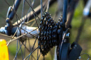Bicycle stars of a back wheel. Bicycle repair and maintenance. Gear change stars.