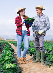 Couple of workers man and woman standing on plantation and discussing work process at farm on sunny day