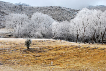 wind and ice at a hill from tafi del valle village Argentina