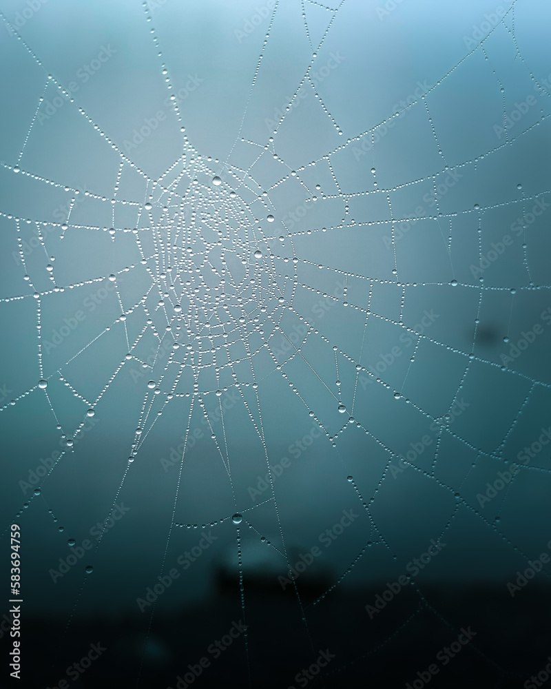 Wall mural beautiful macro of spiderweb with lake in the background