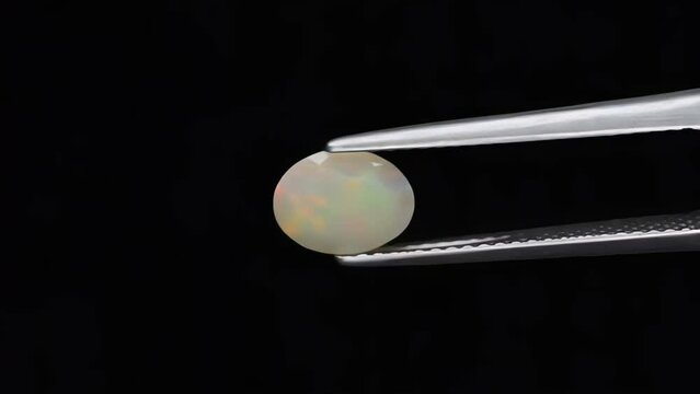 natural opal gemstone in the tweezer on the background