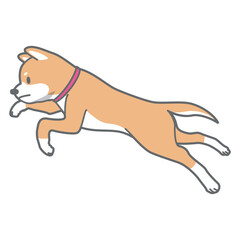 ジャンプする柴犬のベクターイラスト