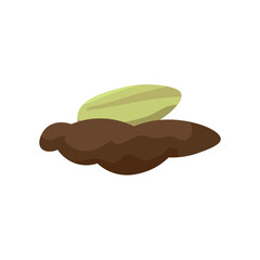 Plant seed and soil on white background