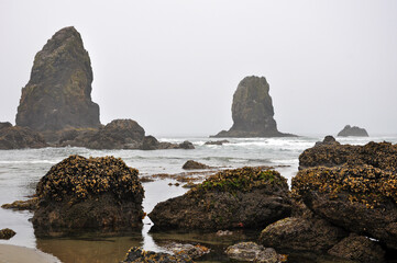 Fototapeta na wymiar Oregon Coast with towering rocks and surf