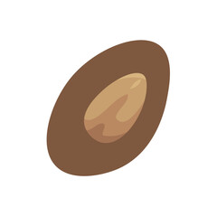 Plant seed on white background