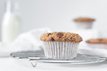 Homemade chocolate chip muffins with selective focus, bakery style chocolate chip muffins with white liners
