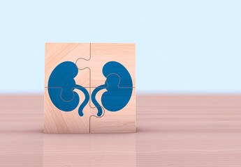 Organ donor, kidney problems, kidney pain, kidney cysts, kidney failure, cancer. Wooden cubes with anatomy icons.
