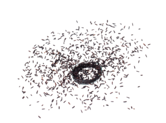 Riceberry rice explosion flying wooden bowl, black purple berry grain wave floating, fall down in air. Rice Berry is organic healthy food. White background Isolated high speed shutter, freeze stop