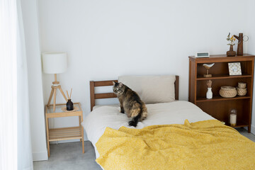 ベッドでくつろぐ猫