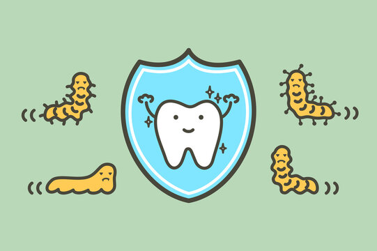 Healthy tooth by protection bacteria, microbe or virus by shield - dental cartoon vector flat style