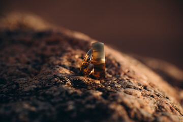 Wedding rings. Love concept. Sensual. Wedding. Bride. Golden rings. 