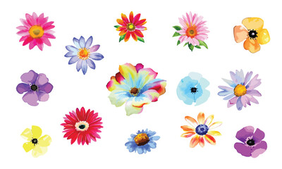 Colorful daisy flowers collection isolated on white background, simple floral vector elements for collage, birthday cards, invitations