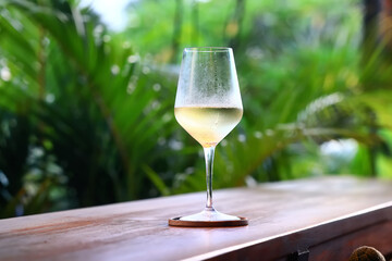 white wine tasting, chilled ice wine in a cold glass in summer