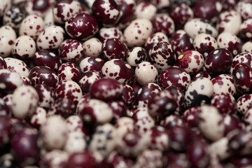 Nuna Peruvian Popping Beans