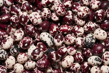 Nuna Peruvian Popping Beans