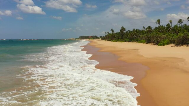Aerial view of sandy beach with palm trees and ocean surf with waves. Lankavatara, Sri Lanka.