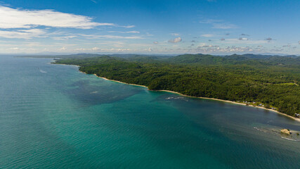 Coastline with jungle and tropical forest. Borneo. Sabah, Malaysia.