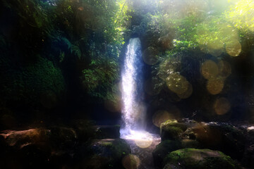 landscape waterfall in the jungle nature asia