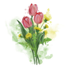 Tulips and dandelions - PNG